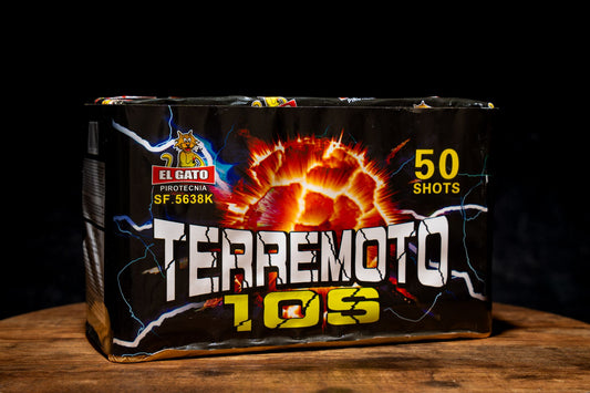 Terremoto 10S