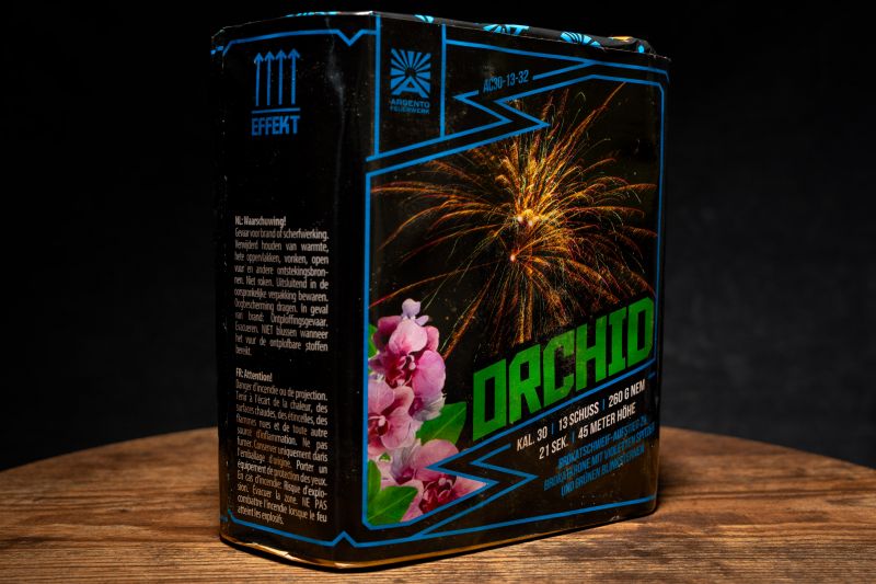 Orchid