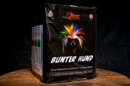 Bunter Hund