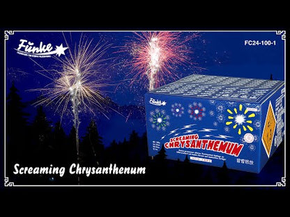 Screaming Chrysanthemum