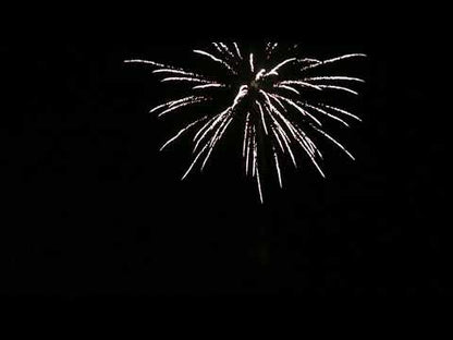 Single Shot Sortiment 1