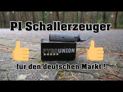 Schallerzeuger P1