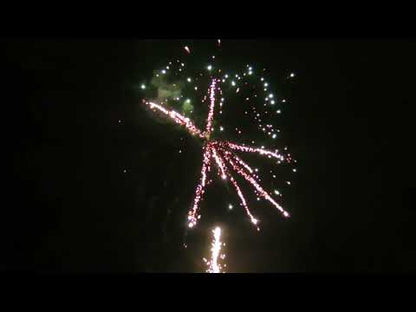 Fiesta Fallera