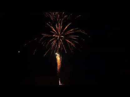 20’S Gold Crown to White Strobe Mine Gold Crown to White Strobe