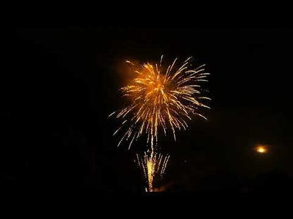 Fiesta de Colores