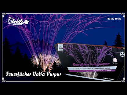 Feuerfächer Volta Purpur