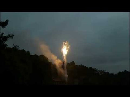 Terremoto Especiale 1S