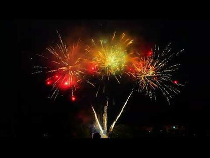 Fiesta Grande Especial