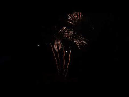 20’S White Strobe & Gold Crown Horsetail with Gold Crown tail