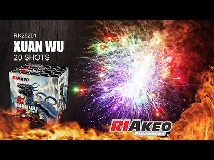 Xuan Wu