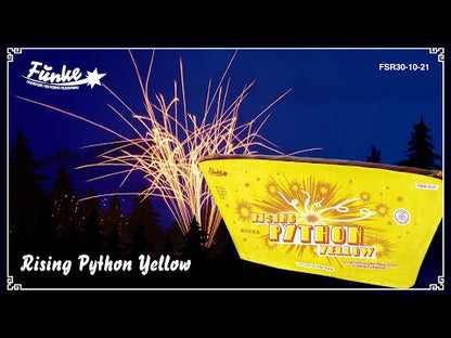Rising Python Yellow
