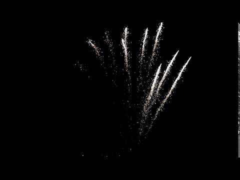 Time rain willow zipper