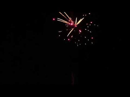 Single Shot Sortiment 1