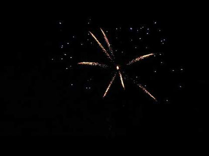 Single Shot Sortiment 1