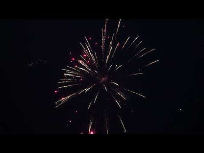 Danger Hobby Phantom